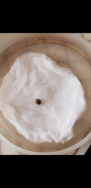S30725-151033.png