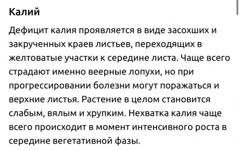 IMG_4745.jpeg