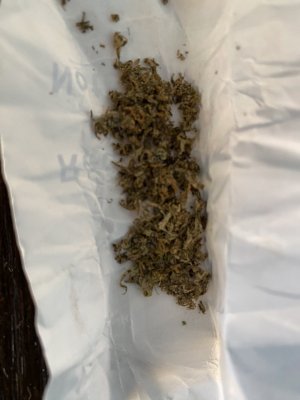 IMG_0474.jpeg