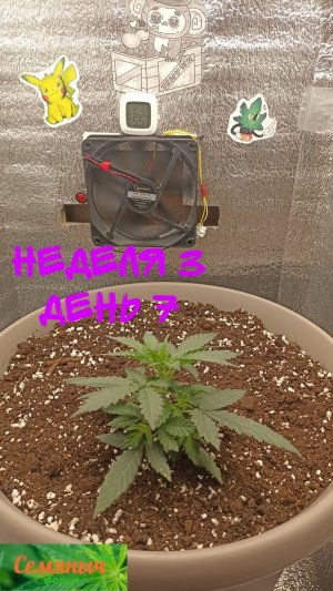 Picsart_23-08-27_07-53-16-351.jpg