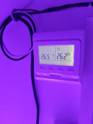 20230907_201205.jpg