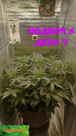 Picsart_23-09-17_09-00-54-302.jpg