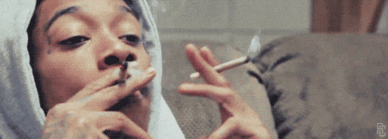 200 2.GIF