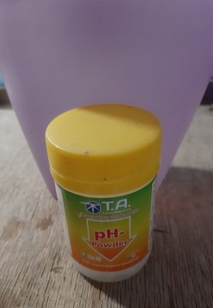 20230927_221950.jpg