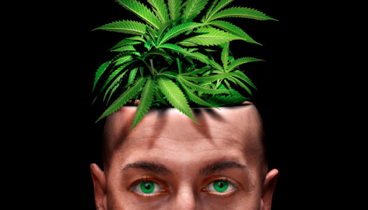 1612639735412.png