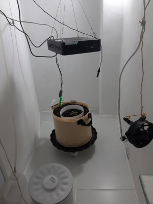 20231015_072932.jpg 20231015_072932.jpg