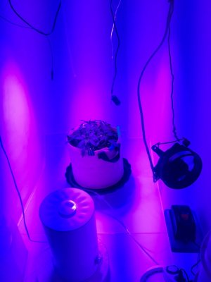 20231016_202146.jpg 20231016_202146.jpg