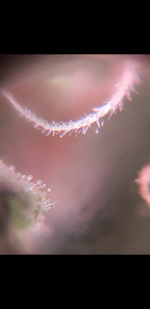 S31019-230247.png