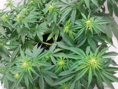 20231021_202236.jpg 20231021_202236.jpg