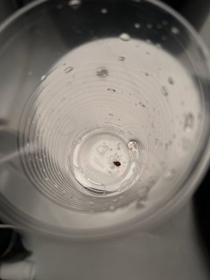IMG_5958.jpeg
