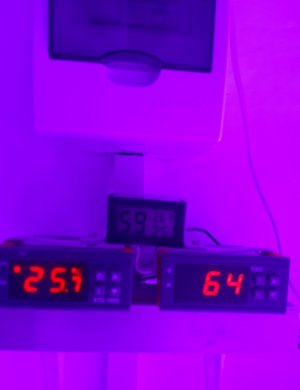 20231022_141823.jpg 20231022_141823.jpg