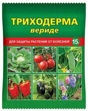 1698062172965.png