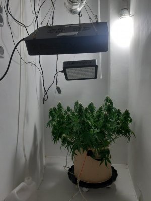 20231024_204614.jpg 20231024_204614.jpg