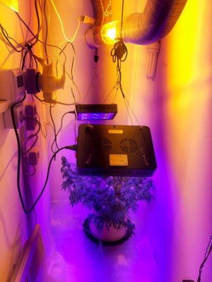 20231024_204539.jpg 20231024_204539.jpg