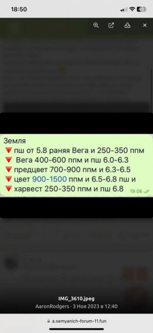 IMG_0222.jpeg