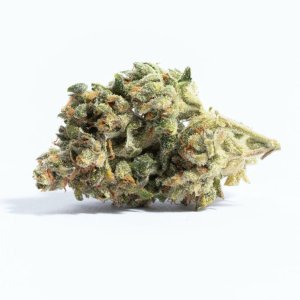 Acapulco Gold.jpg Acapulco Gold.jpg