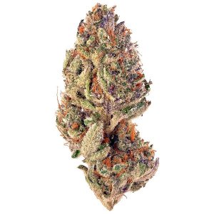 tropicana cookies.jpg tropicana cookies.jpg