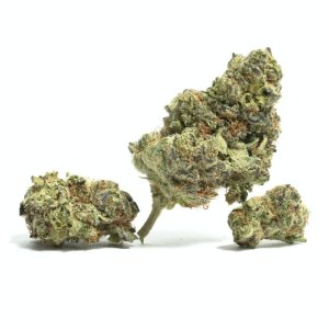 WiFi OG.jpg WiFi OG.jpg