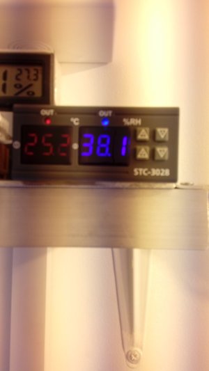 20210413_183953-min.jpg