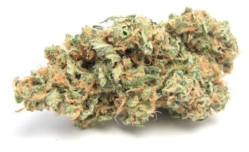 Blue Dream.jpg