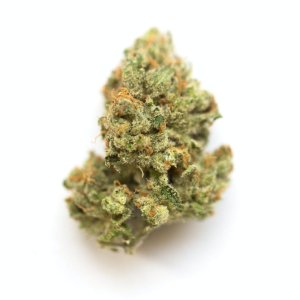 Jack Herer.jpg