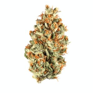 tangie.jpg