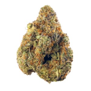 stardawg.jpg