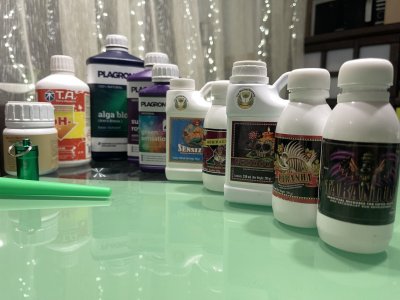IMG_3541.jpeg