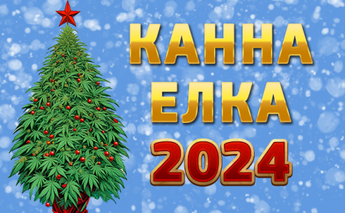 2024.png