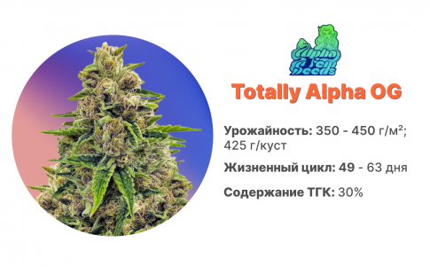 Totally Alpha OG Totally Alpha OG