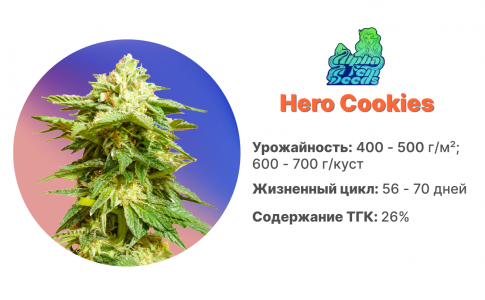 Hero Cookies