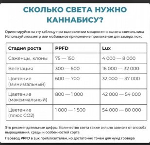 IMG_4914.jpeg