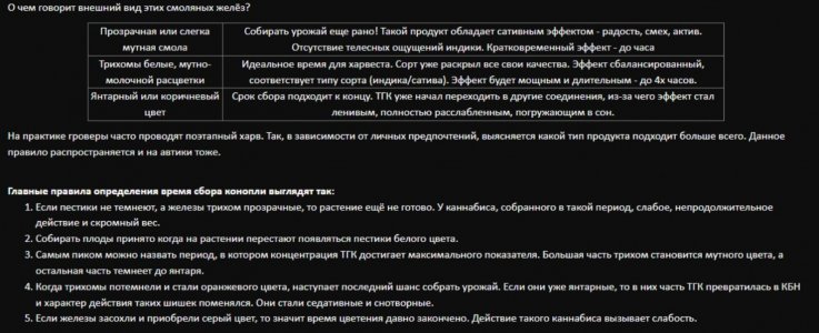 созревание.jpg созревание.jpg