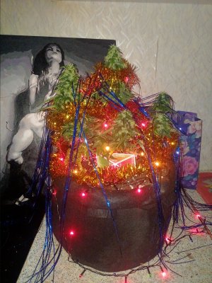 IMG20231228172322.jpg