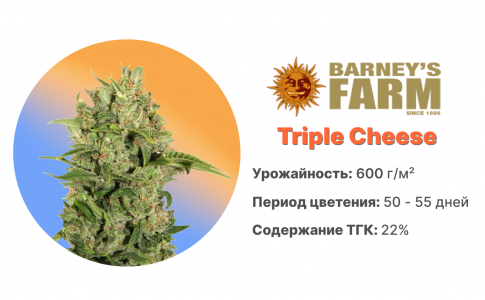 Triple Cheese