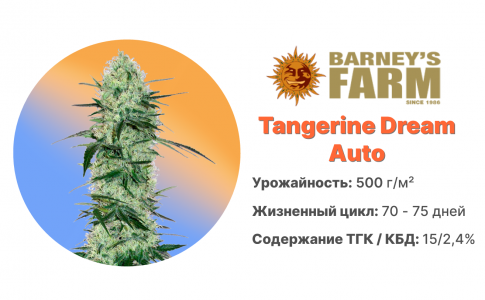 Tangerine Dream Auto Tangerine Dream Auto