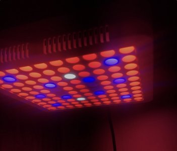IMG_0151.jpeg
