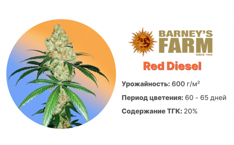 Red Diesel Red Diesel