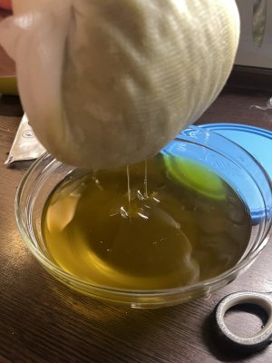 IMG_7808.jpeg