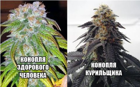 356c0ebf7703b77e659c64b9987094b6.jpg