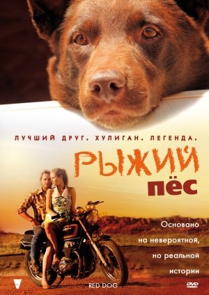 Обложка_фильма_«Рыжий_пёс».jpg