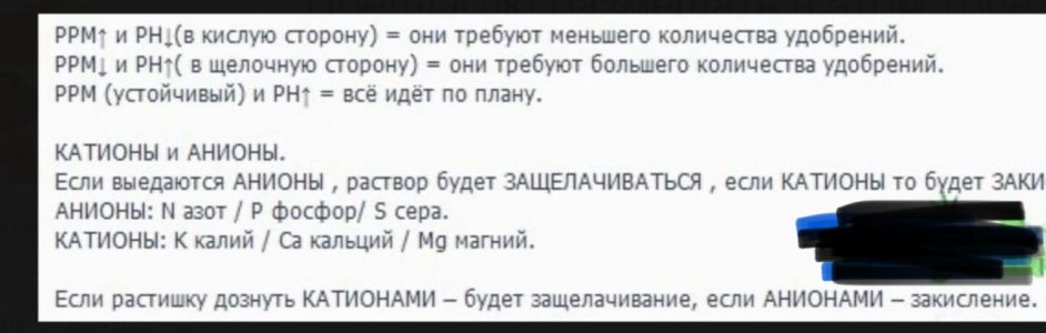 IMG_1982.jpeg