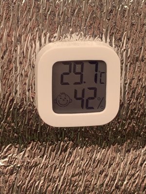 80CCEAD1-D86B-42B7-8C85-A68CBD8E09E5.jpeg