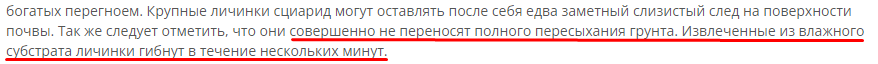 1711254316401.png