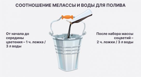 rastvor-iz-1-chajnoj-lozhki-siropa-na-3-litra-vody__XfMDBLCZVCjzTc2c.jpg