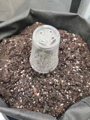 1000017089.jpg
