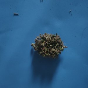 IMG20240402080240.jpg