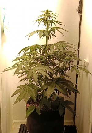 IMG_20240410_230947.jpg