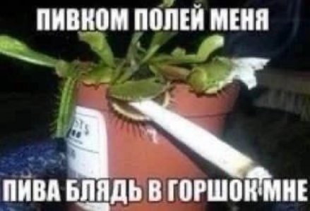 imgonline-com-ua-dexif0MNWD2UJz4z7.jpg