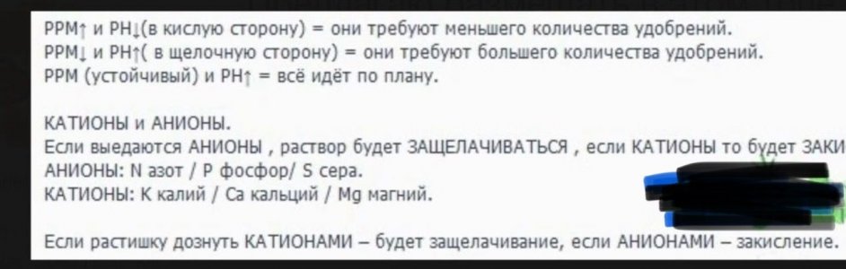 IMG_1982.jpeg